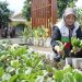 Ciptakan Nilai Berkelanjutan, SIG Perkuat Keunggulan Operasional dengan Eco-Inovasi dan Inovasi Sosial