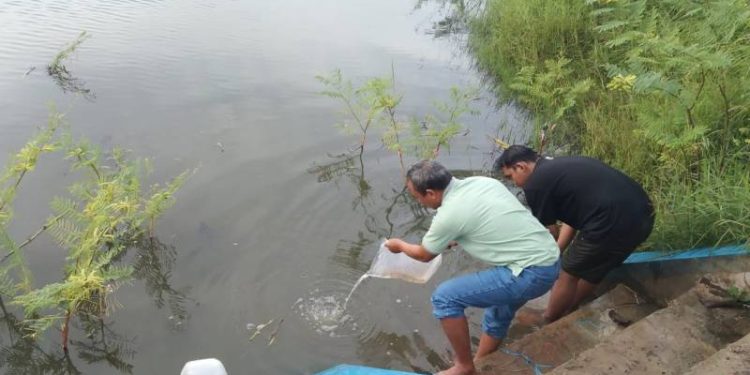 Kartar Setya Wibawa Bersama Kades Mojogede, Tebar 71.500 Benih Ikan Di Waduk