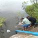 Kartar Setya Wibawa Bersama Kades Mojogede, Tebar 71.500 Benih Ikan Di Waduk