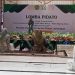 Terus Canangkan Penghijauan di Kabupaten Gresik, Wakil Bupati Ajak PPPK Menanam Pohon