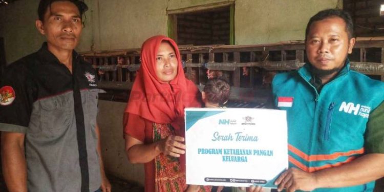 Berkat Bantuan Ayam Petelur dari Nurul Hayat, Janda Tiga Anak di Dalegan Panceng Kini Bisa Mencukupi Kebutuhan Keluarga dan Biaya Sekolah