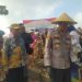 Pemdes Prupuh Panceng Dukung Swasembada Pangan, Sukses Gelaran Panen Raya Jagung Ketahanan Pangan Nasional