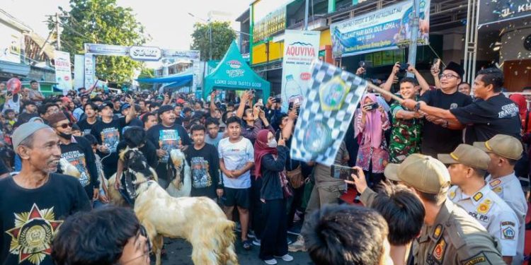 Culture and Tradition Eid Adha 2025: Semangat Budaya, Arah Baru Peternakan Muda