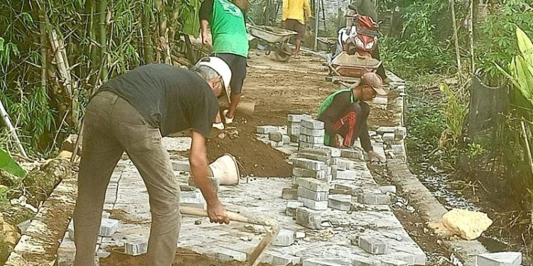 Permudah Akses Pertanian, Pemdes Dungus Tuntaskan Pembangunan Jalan Usaha Tani Baru