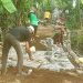 Permudah Akses Pertanian, Pemdes Dungus Tuntaskan Pembangunan Jalan Usaha Tani Baru