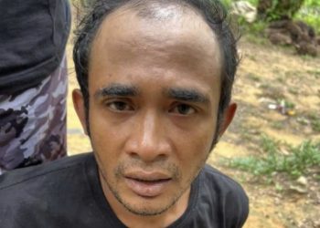 Buronan Otak Pembunuhan Sadis di Imaan Gresik Akhirnya Tertangkap di Kebun Sawit Kalimantan