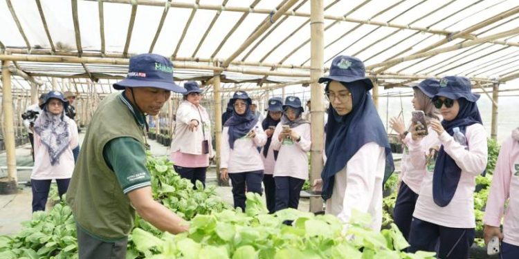 Karyawati Petrokimia Gresik Berdayakan Petani Perempuan Melalui Program “Karyawati Goes To Zona Tameng” di Malang