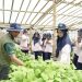 Karyawati Petrokimia Gresik Berdayakan Petani Perempuan Melalui Program “Karyawati Goes To Zona Tameng” di Malang