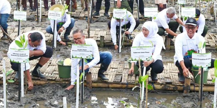 SIG Bersama Pemprov Jatim Tanam 17.845 Bibit Bakau di Pantai Bahak Probolinggo