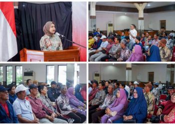 Ratusan Pelaku IKM Gresik Ikuti Sosialisasi 4 Pilar MPR RI, Nila Yani: Demi Wujudkan Keadilan Ekonomi