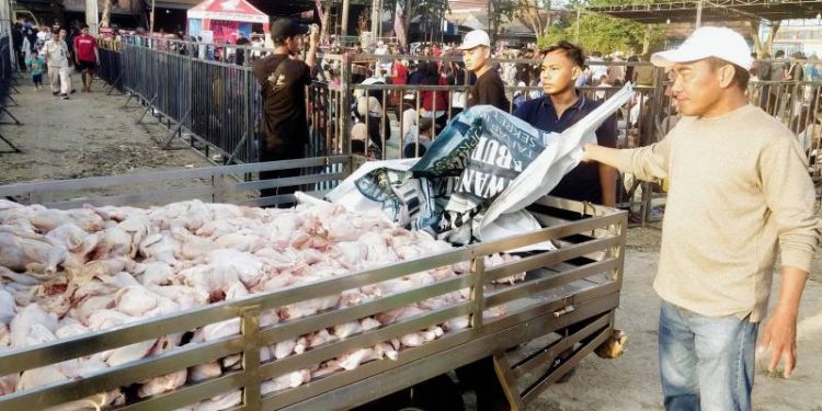 Lestarikan Tradisi, Pemdes Sidowungu Menganti Gelar Sedekah Bumi, 3,2 Ton Daging Ayam di sediakan Para Juragan Ayam