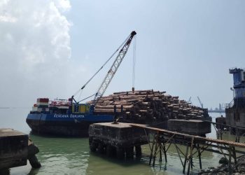 Satgas Gabungan Sita Ribuan Kubik Kayu Meranti dan Kruing di Perairan Karang Jamoang Gresik
