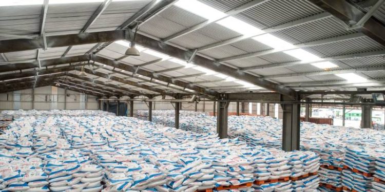 Dukung Produktivitas Petani, Petrokimia Gresik Siapkan 441 Ton Pupuk Bersubsidi Untuk Musim Tanam Oktober-Maret