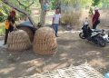 Grebek Judi Sabung Ayam di Menganti, Polres Gresik Amankan Sejumlah Barang Bukti