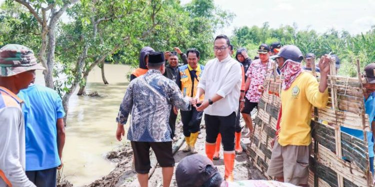 Wabup Alif Tinjau Banjir di Desa Glindah, Tegaskan Perbaikan Tanggul Kali Lamong Dilakukan Segera