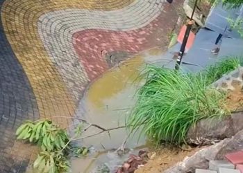 Longsor di Kawasan Gejos Gresik, Fasilitas Jogging Track Ditutup