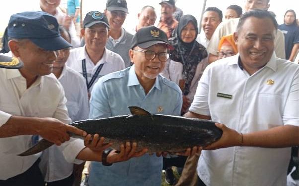 Menko Bidang Pangan Zulkifli Hasan Kunjungi Kampung Bandeng, Kades Pangkah Wetan: Total Produksi Budidaya Mencapai 20.000–25.000 Ton Per Tahun