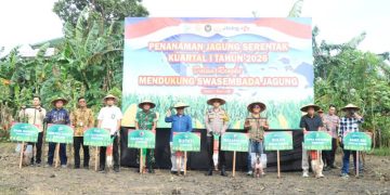 Dukung Swasembada Pangan Nasional, Polres Gresik Bersama Forkopimda Tanam Jagung 1,2 Hektare di Kebomas
