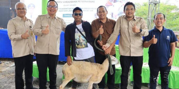 Dari Kandang ke Wirausaha, Wabup Alif Dorong Ekosistem Peternakan Terintegrasi di Gresik
