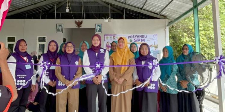 Launching Posyandu 6 SPM, Desa Domas Menganti Perkuat Transformasi Pelayanan Masyarakat