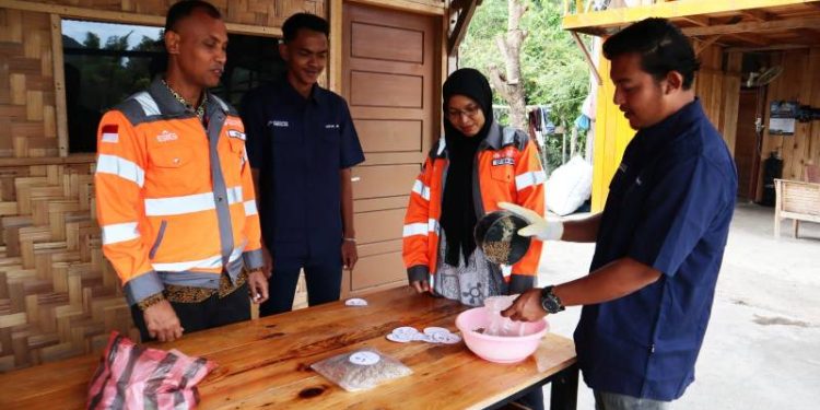Olah Sampah Kelapa Jadi Pakan Ternak, SIG Tingkatkan Kualitas Lingkungan dan Kesejahteraan Masyarakat di Aceh