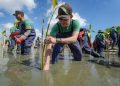 Penutupan Hari Lingkungan Hidup 2026, Freeport Perkuat Kolaborasi Lewat Aksi Bersih Pantai hingga Penanaman Mangrove