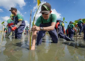 Penutupan Hari Lingkungan Hidup 2026, Freeport Perkuat Kolaborasi Lewat Aksi Bersih Pantai hingga Penanaman Mangrove