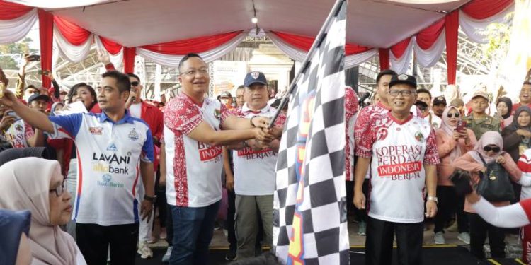 Hadiri Harkopnas ke-79, Wabup Alif Tegaskan KDKMP Bukan Untuk Singkirkan Toko Kelontong