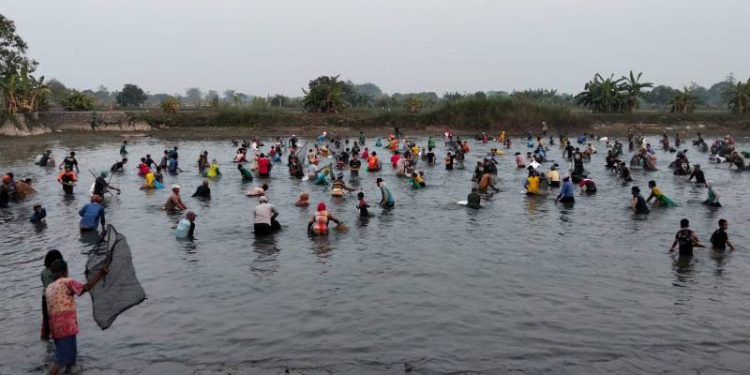 Tradisi Ngubek Srumbung Pemdes Bulangan, Ratusan Warga Semringah Tangkap Ikan Gratis
