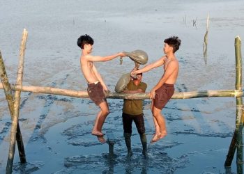 Pemdes Karangkiring Kebomas Adakan Lomba Gebuk Bantal di Pesisir Pantai, Kenalkan Wisata Mangrove