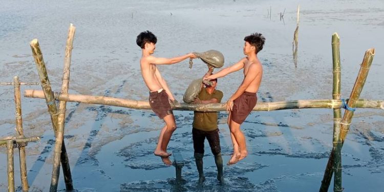 Pemdes Karangkiring Kebomas Adakan Lomba Gebuk Bantal di Pesisir Pantai, Kenalkan Wisata Mangrove