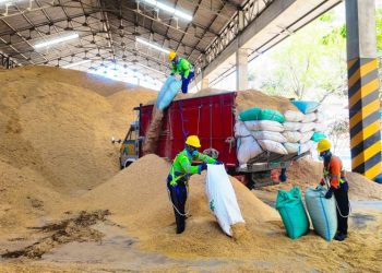 Optimalkan Bahan Bakar Alternatif dalam Proses Produksi, Penggunaan Sekam Padi di SIG Pabrik Tuban Capai 400 Ton Per Hari